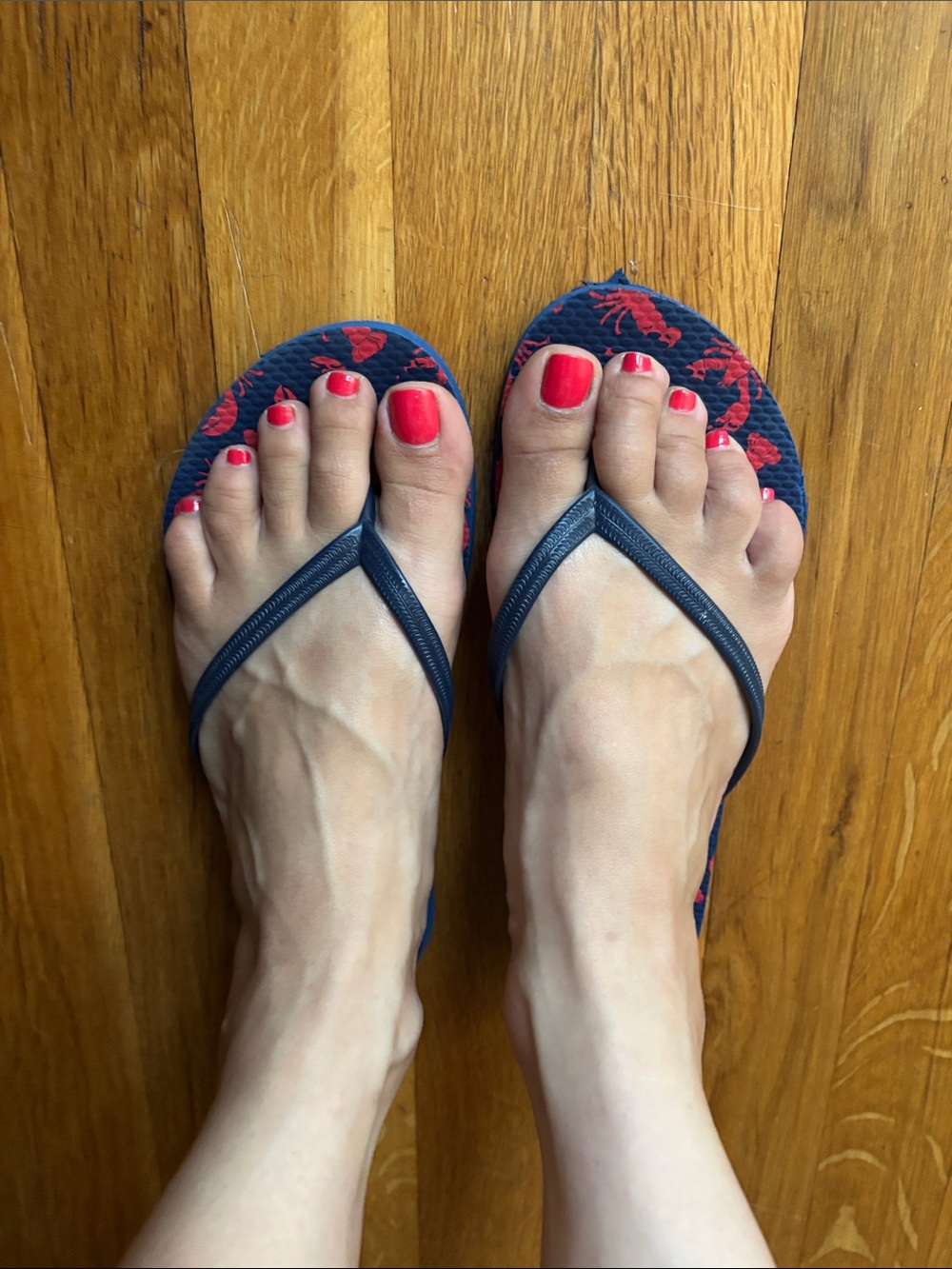 Women's Navy Flip Flop Sandals with Red Accent size 7